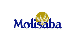 logo - molisaba
